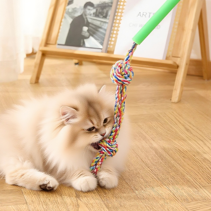 Extendable Pet Teaser Training Stick