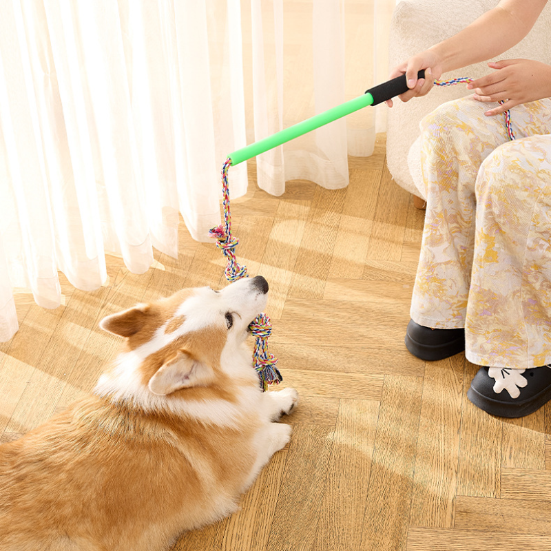 Extendable Pet Teaser Training Stick