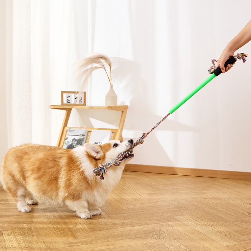 Extendable Pet Teaser Training Stick
