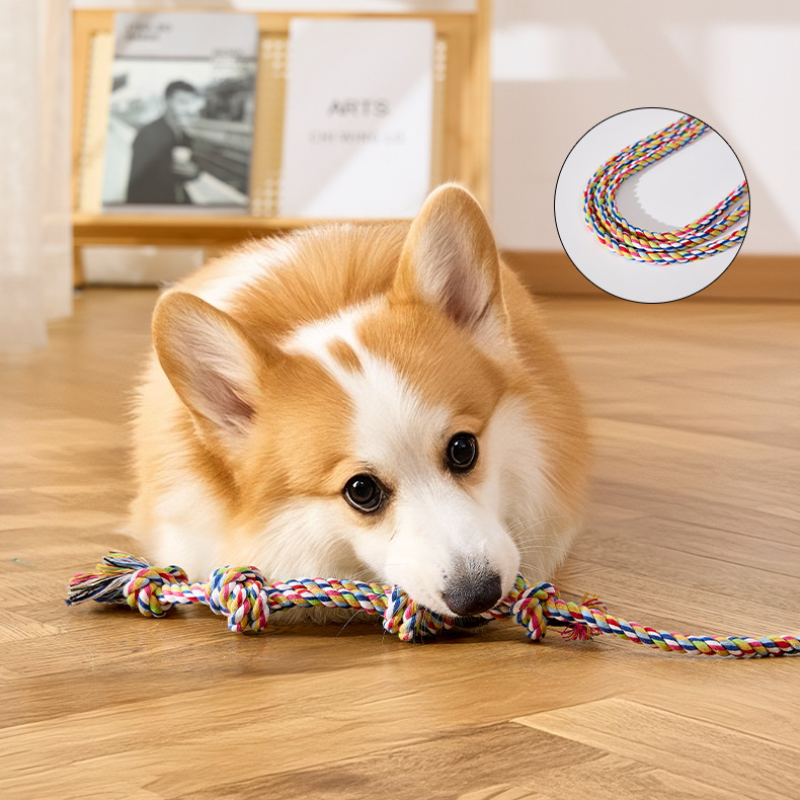Extendable Pet Teaser Training Stick