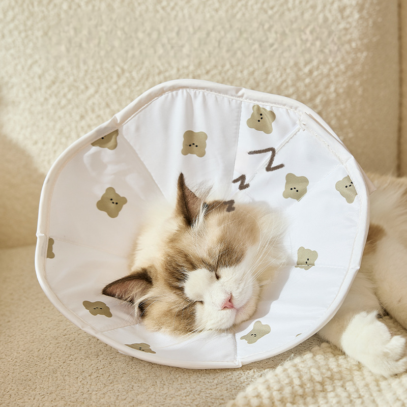Bear Print Pet Recovery Collar