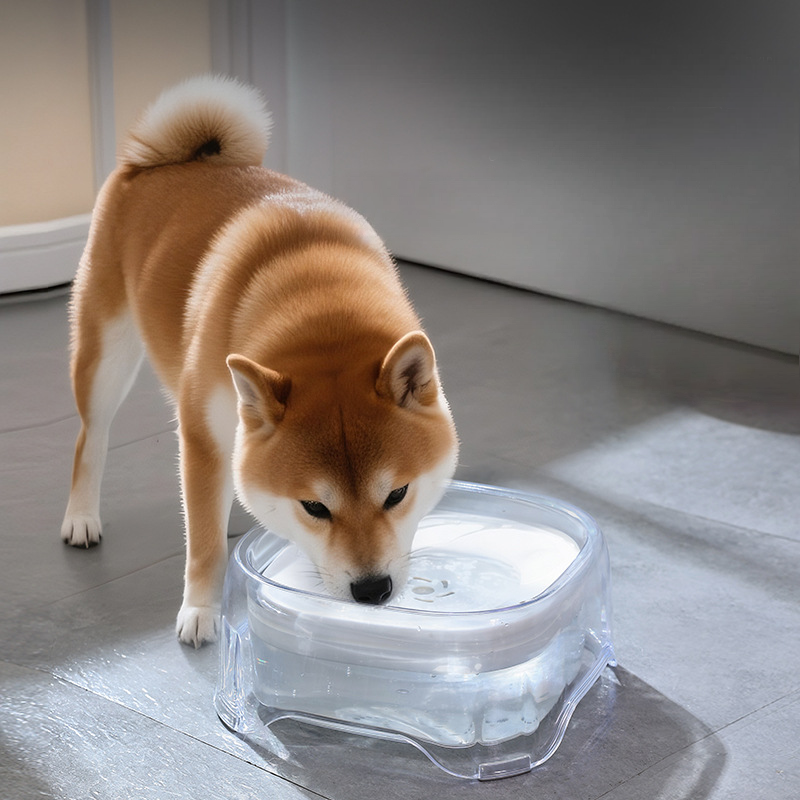 Floating Pet Water Dispenser Bowl