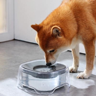 Floating Pet Water Dispenser Bowl 02