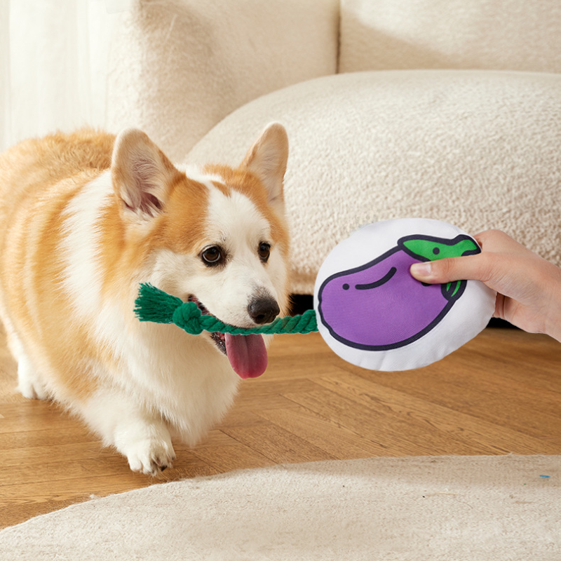 Vegetable Themed Dog Chew Toy
