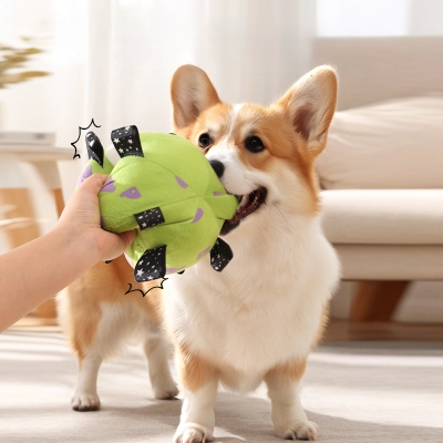 Plush Squeaky Dog Soccer Ball 02