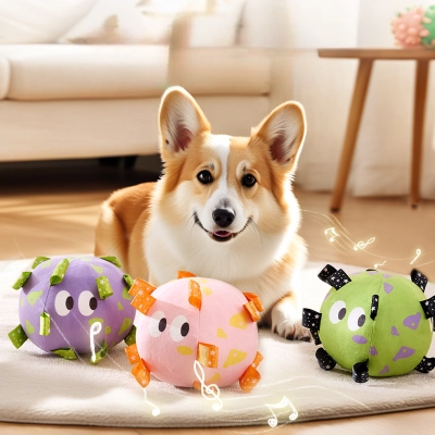 Plush Squeaky Dog Soccer Ball 01