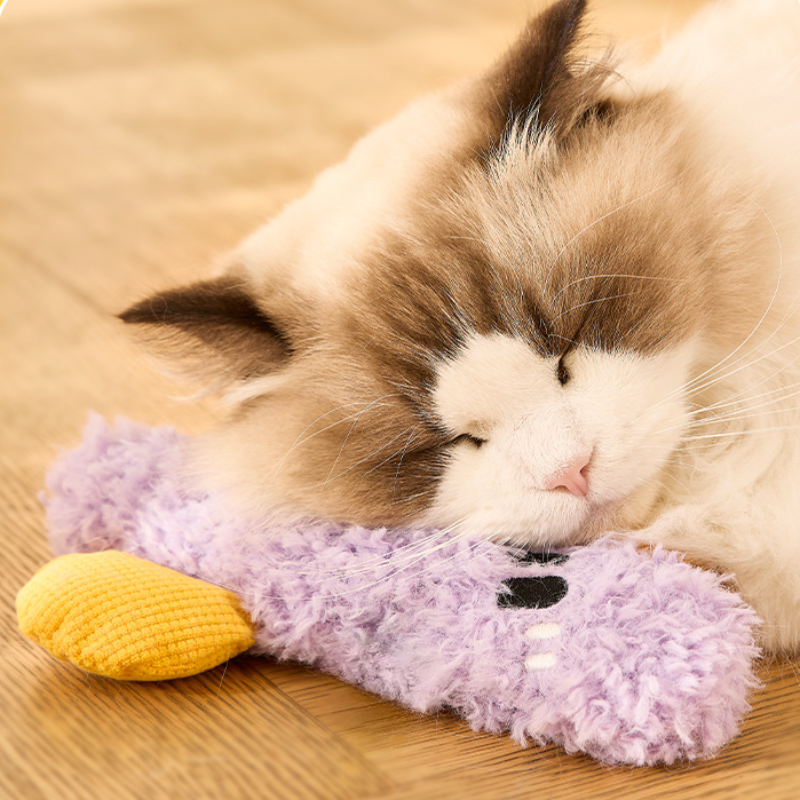 Plush Catnip Teaser Toy