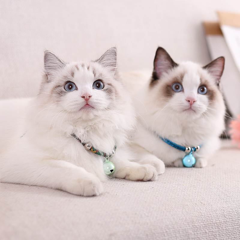 Heart Bell Pet Collar Set