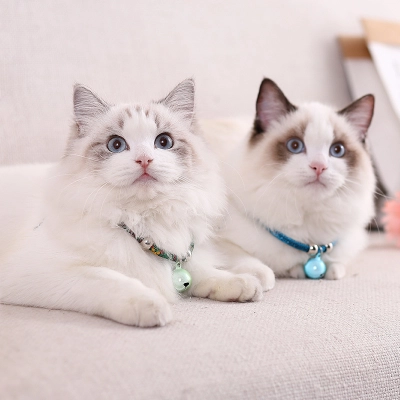 Heart Bell Pet Collar Set 01