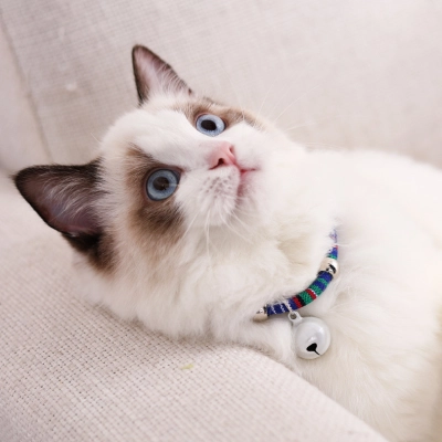 Heart Bell Pet Collar Set 02