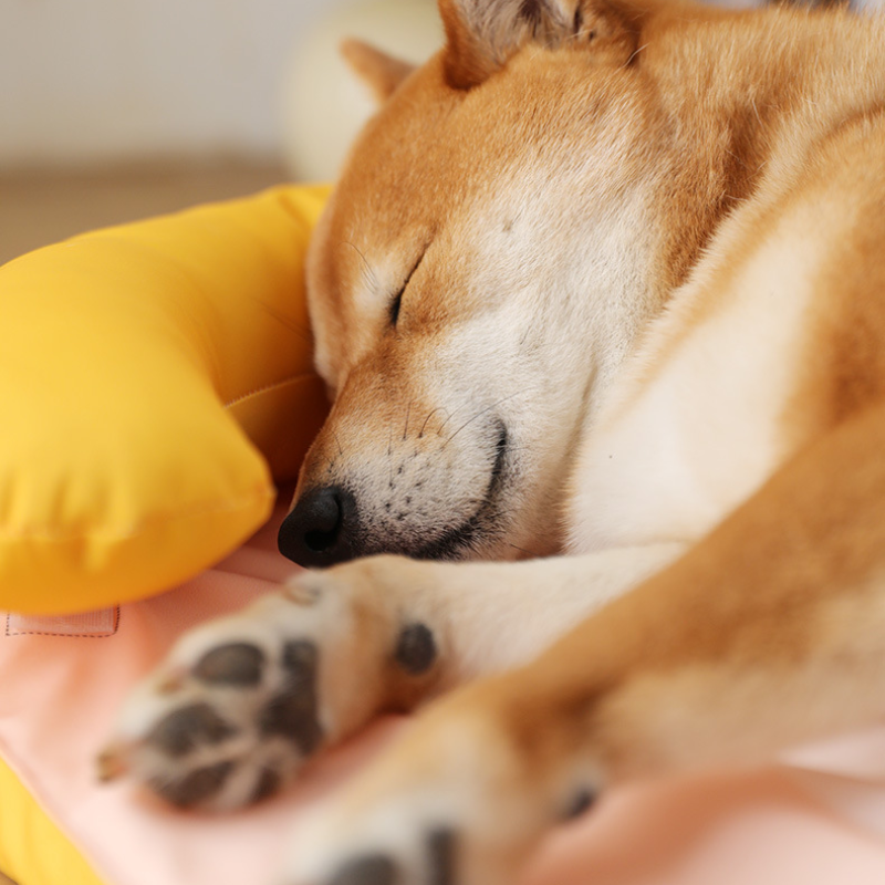 Cooling Pet Mat with Pillow