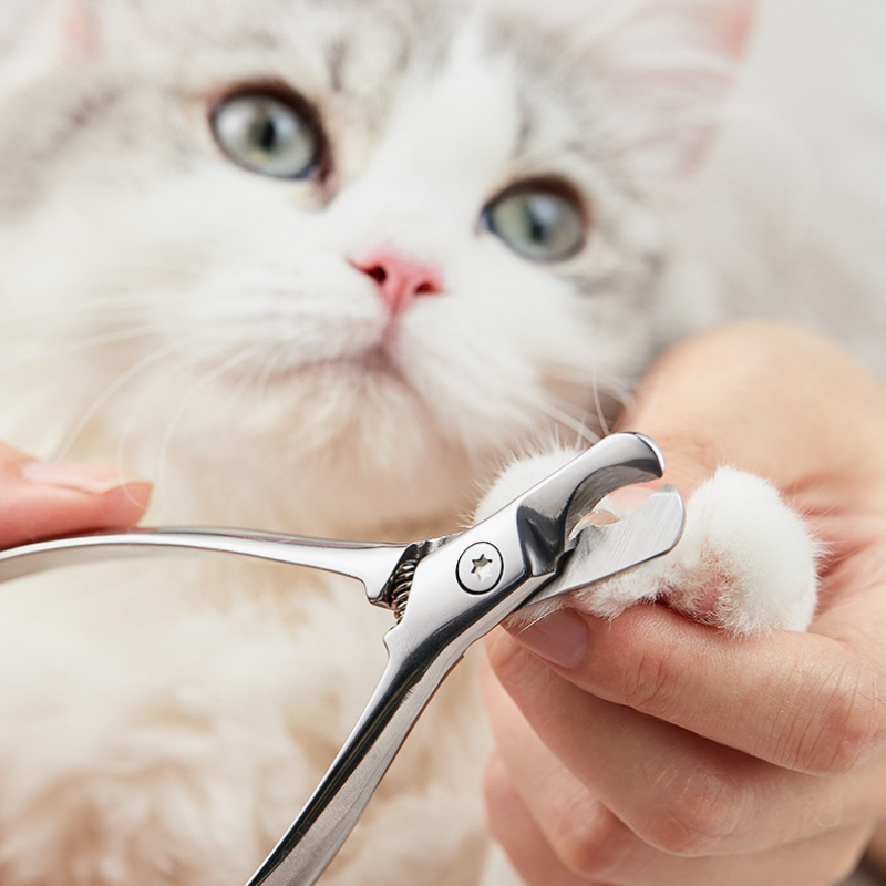 Stainless Steel Pet Nail Clipper