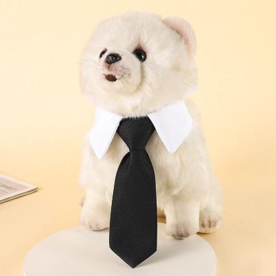 Stylish Pet Bow Tie Collar 02