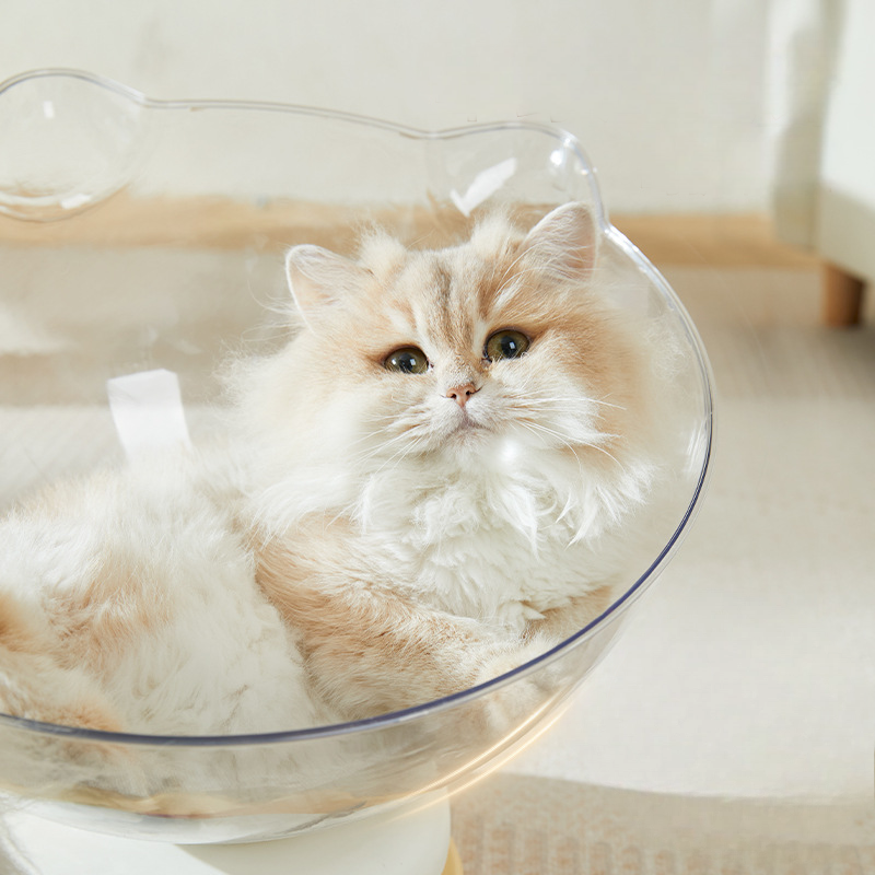 Transparent Cat Pod Playhouse
