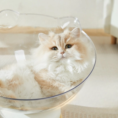 Transparent Cat Pod Playhouse 02