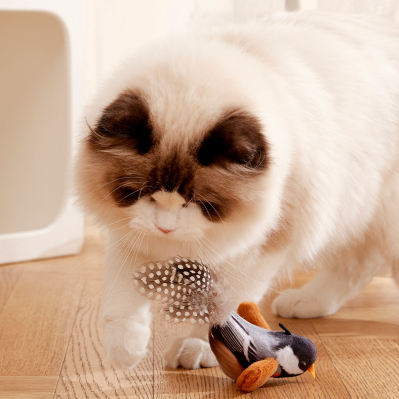 Interactive Bird Chirp Cat Toy
