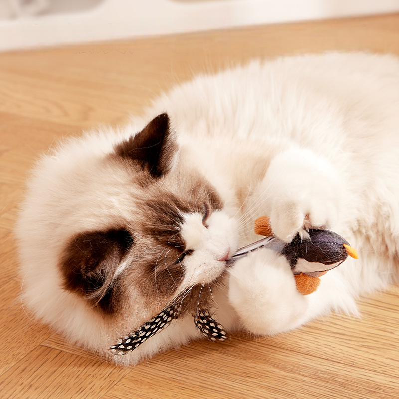 Interactive Bird Chirp Cat Toy