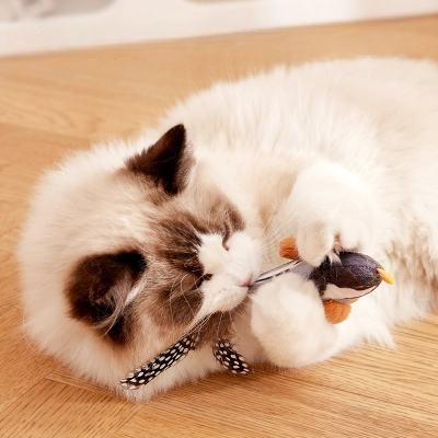 Interactive Bird Chirp Cat Toy 02