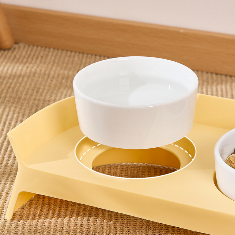 Elevated Ceramic Cat Feeding Set