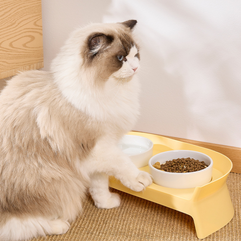 Elevated Ceramic Cat Feeding Set