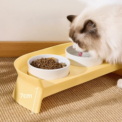 Elevated Ceramic Cat Feeding Set 01
