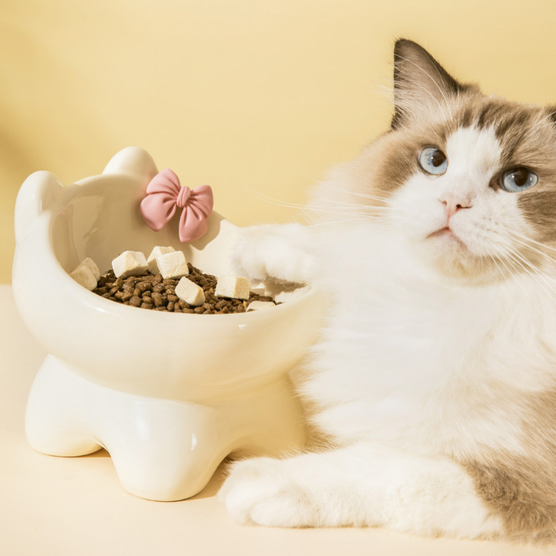 Kitty Ceramic Pet Bowl