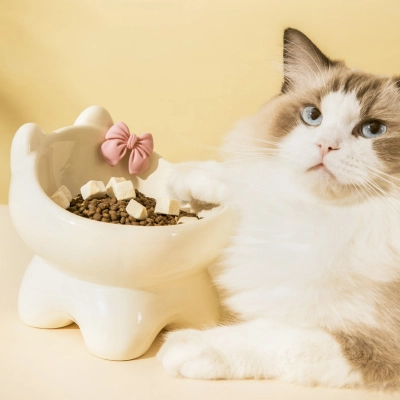 Kitty Ceramic Pet Bowl 02