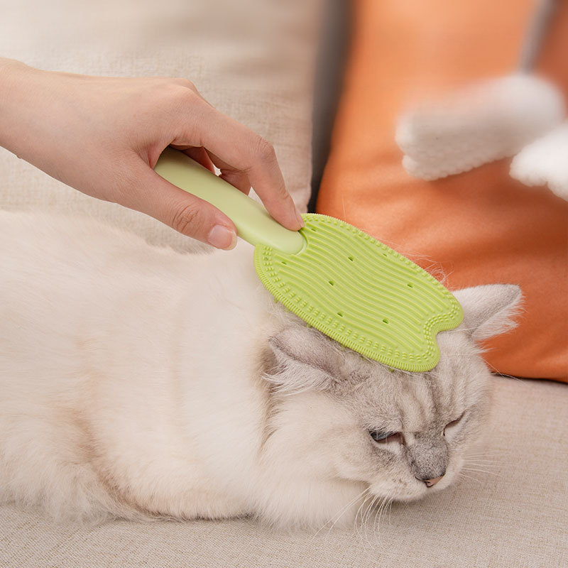 Dual Side Massage Deshedding Brush