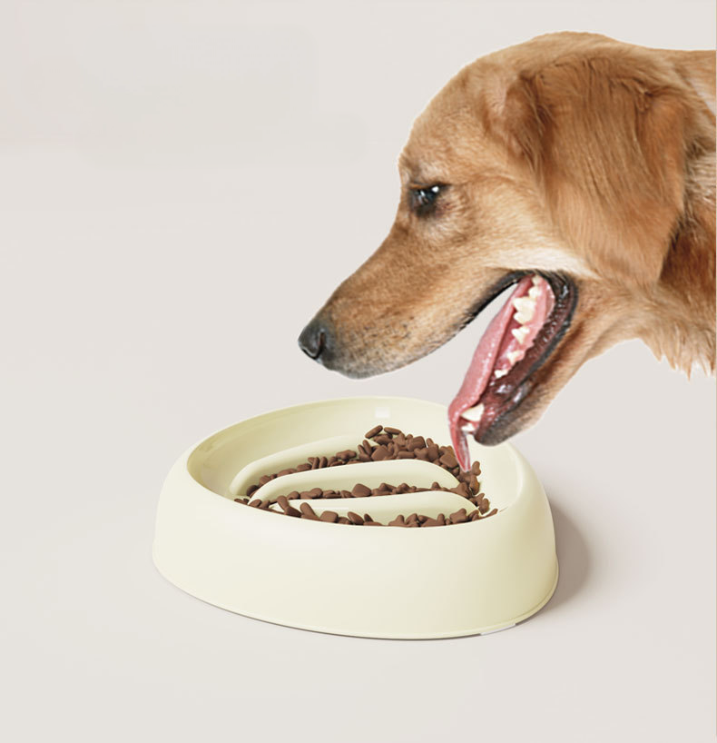 Shell Slow Feeder Bowl