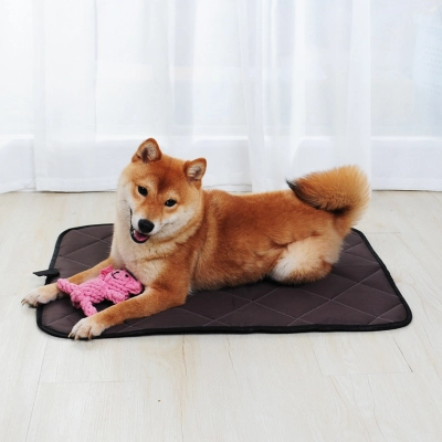 Diamond Pattern Pet Mat 01