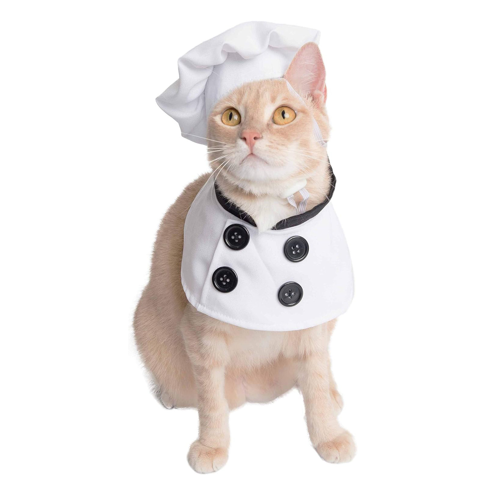 Chef Costume Pet Outfit Set