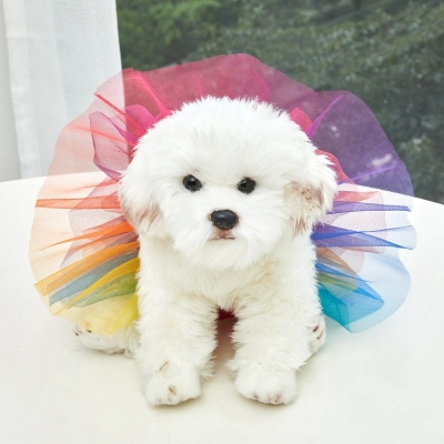 Rainbow Pet Tutu Skirt 01