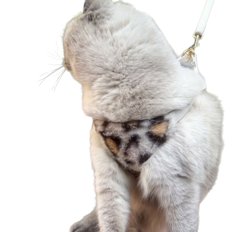Leopard Plush Pet Harness Set