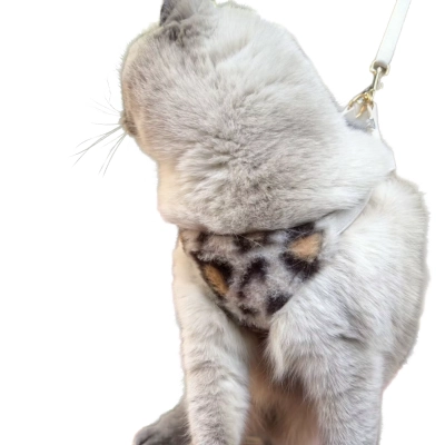 Leopard Plush Pet Harness Set 01