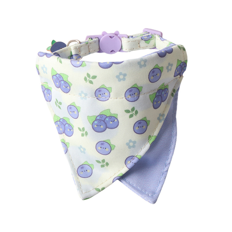 Fruit Pattern Pet Bandana Set