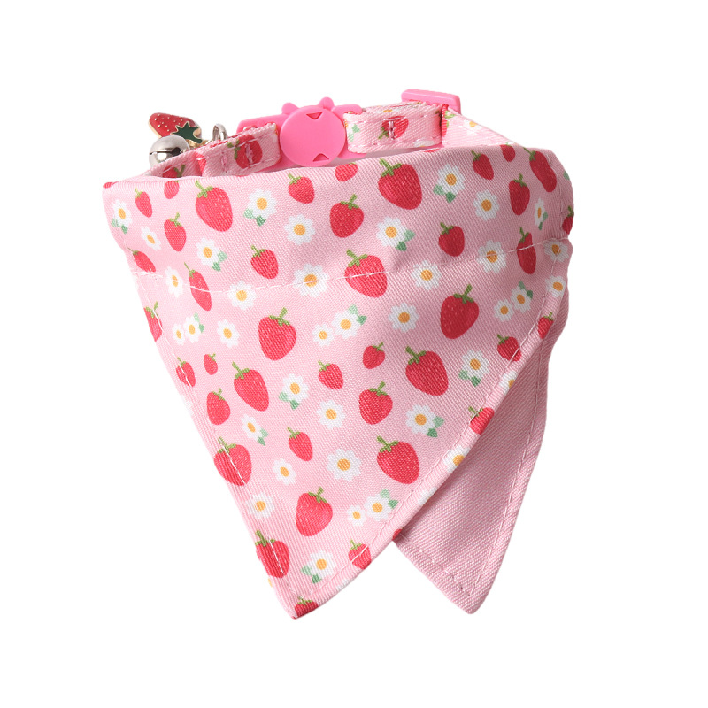 Fruit Pattern Pet Bandana Set