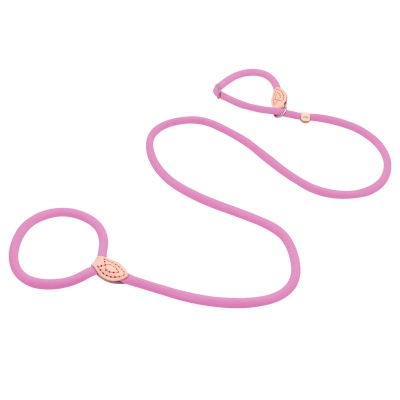 Adjustable Pet Training Leash 02