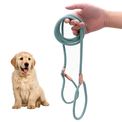 Adjustable Pet Training Leash 01