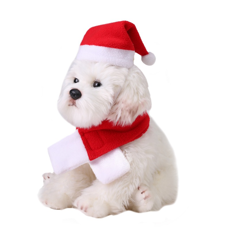 Christmas Pet Hat Scarf Set