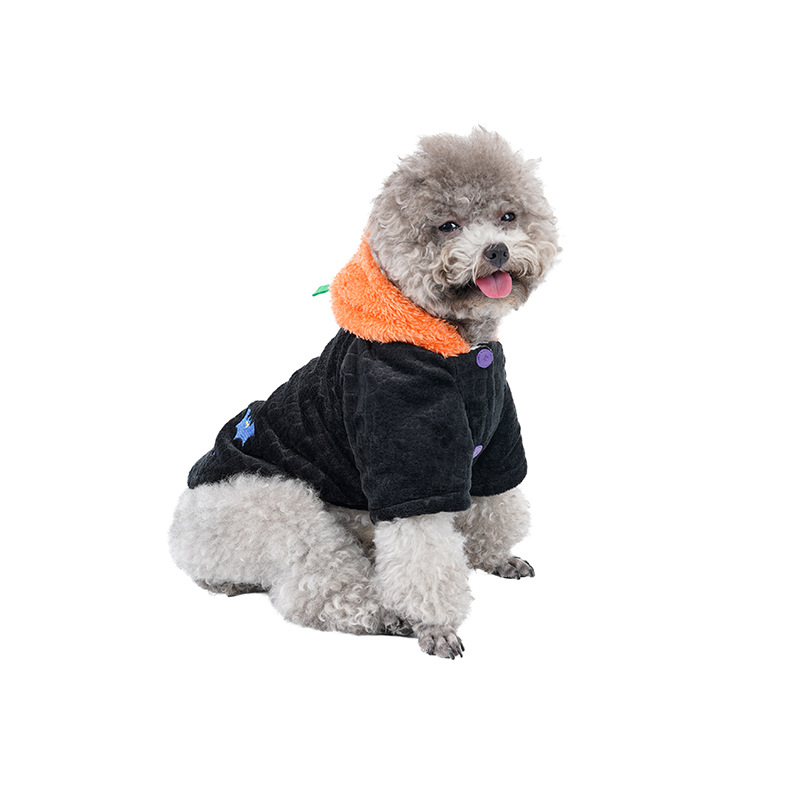 Pumpkin Head Pet Costume