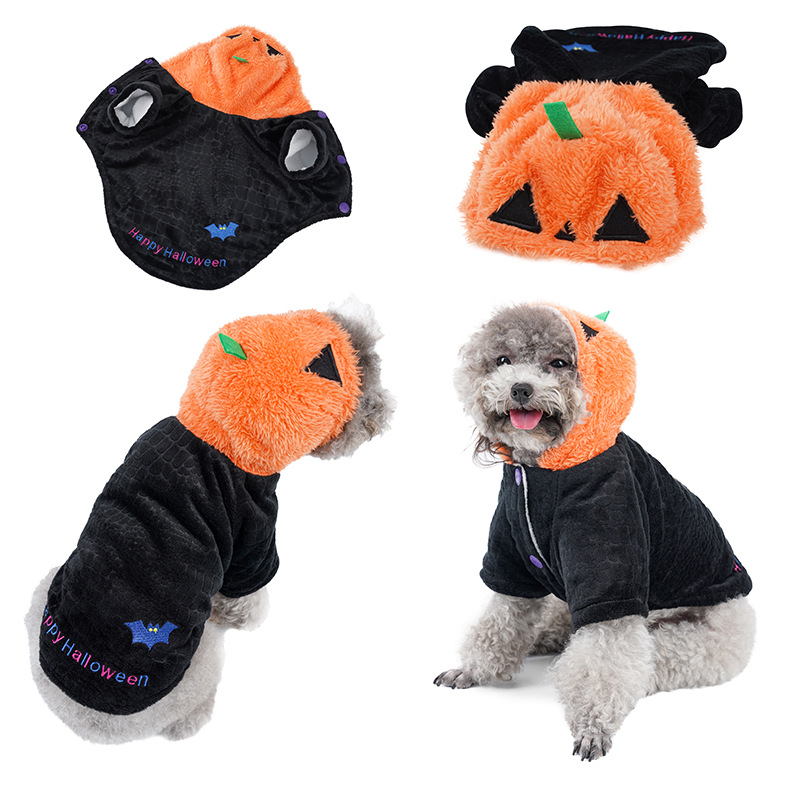 Pumpkin Head Pet Costume