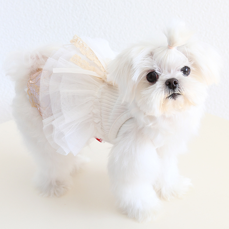 Pet Mini Dress Set Bow Ribbon Design