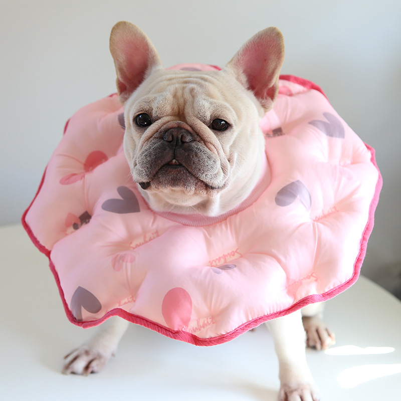 Star Stitch Pet E Collar