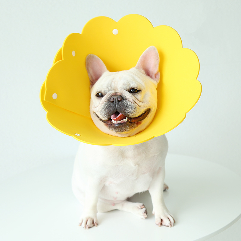 Sunflower Pet E Collar