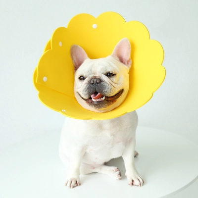 Sunflower Pet E Collar 02
