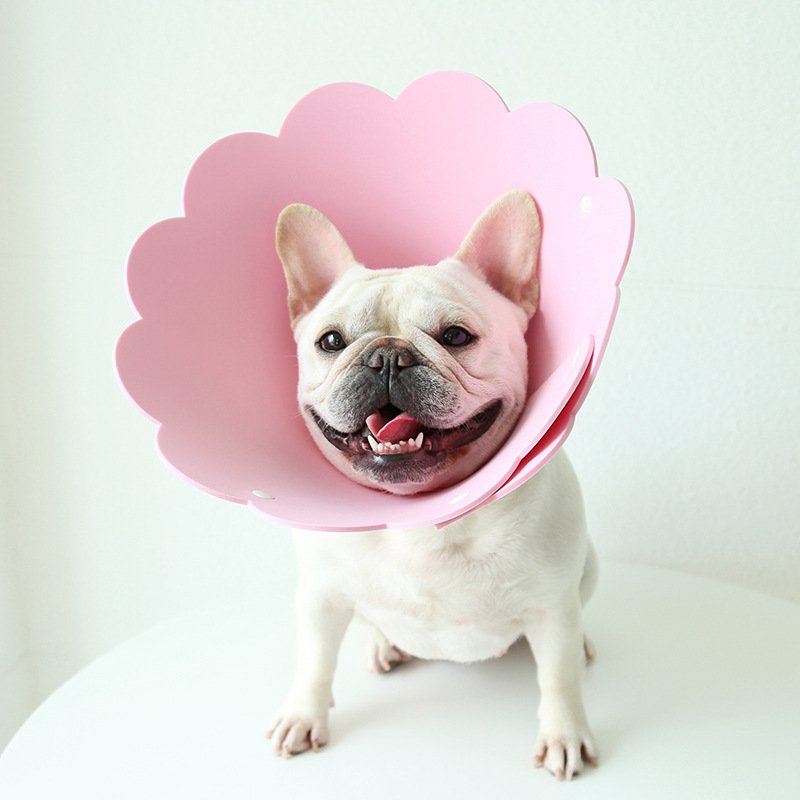 Sunflower Pet E Collar