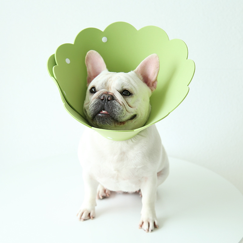 Sunflower Pet E Collar