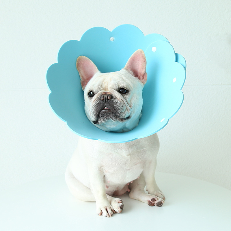Sunflower Pet E Collar