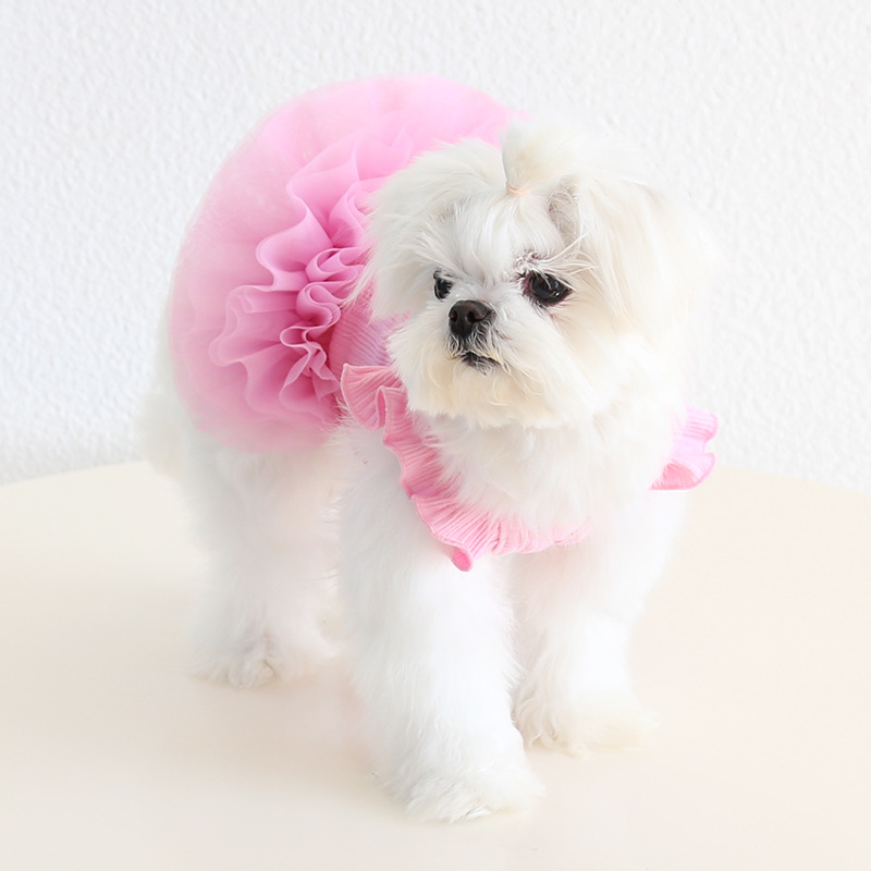 Fairy Wing Pet Dress