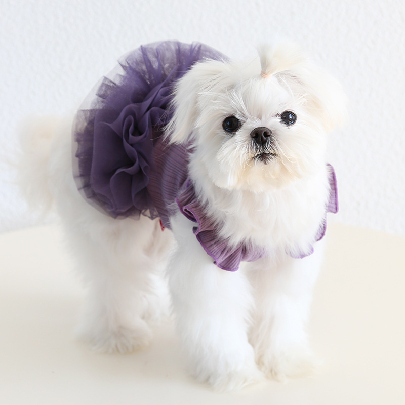Fairy Wing Pet Dress